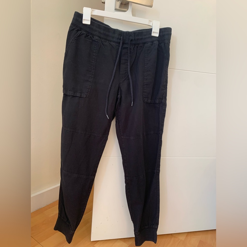 Aritzia Community Ion Pant (Size Medium)